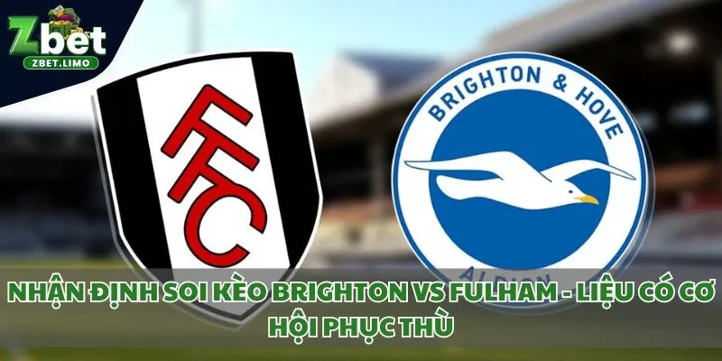 Nhận định soi kèo Brighton vs Fulham